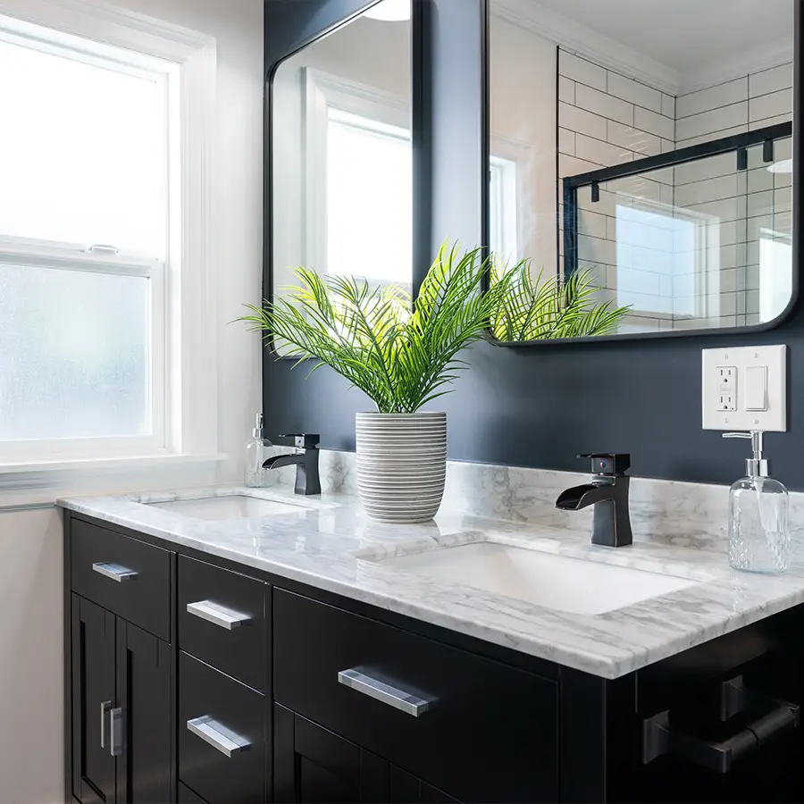 Modern bathroom with plant on marble countertop and mirror vanity.